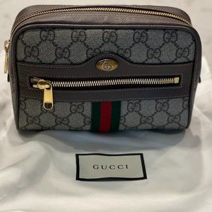 Gucci Ophidia Belt Bag